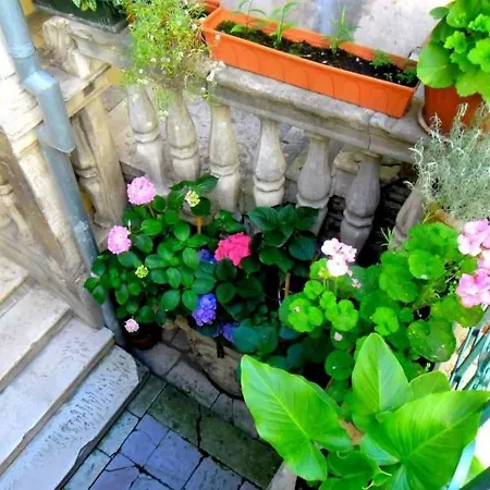 Apartment Nikolina Sibenik